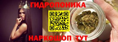 шишки Северобайкальск