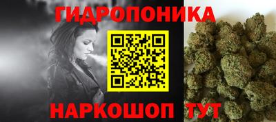 шишки Северобайкальск