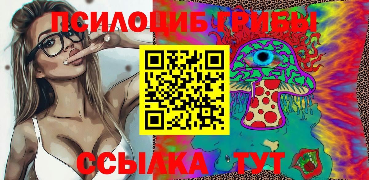 Галлюциногенные грибы Psilocybine cubensis Россошь