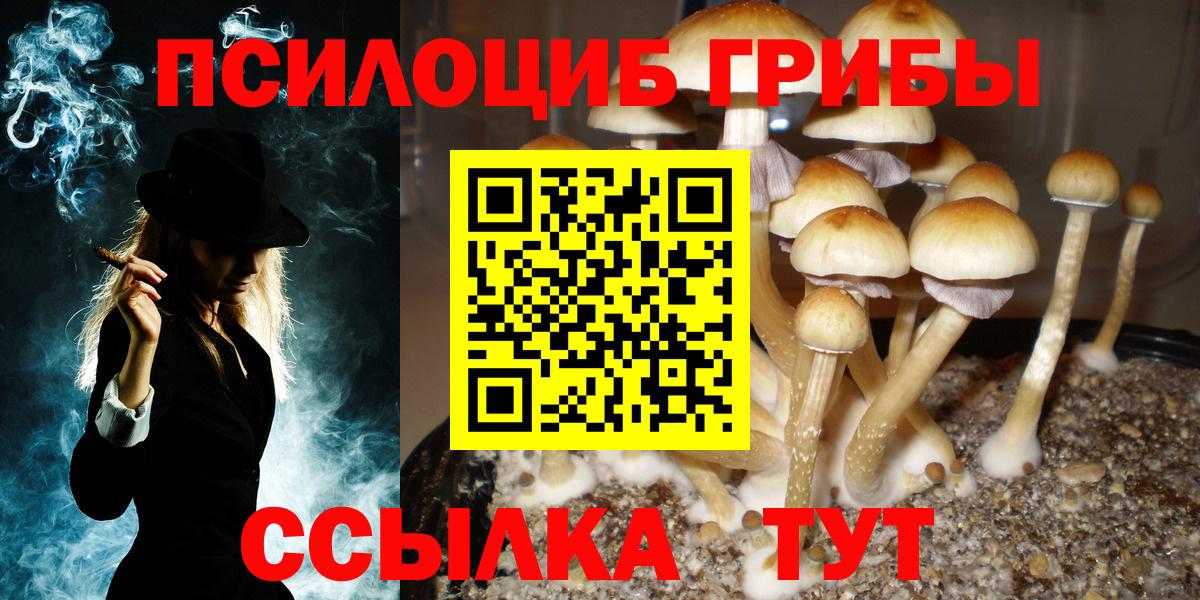 цены   Псилоцибиновые грибы GOLDEN TEACHER  Вход с VPN  Галлюциногенные грибы Psilocybine cubensis  Россошь 